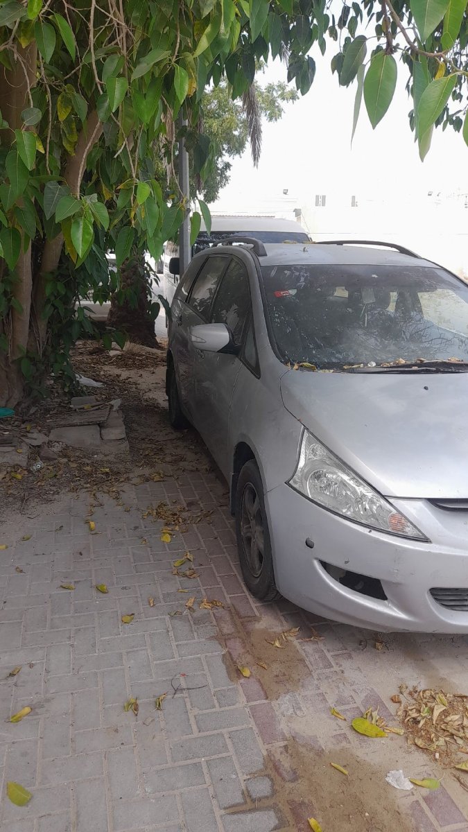 صورة 4