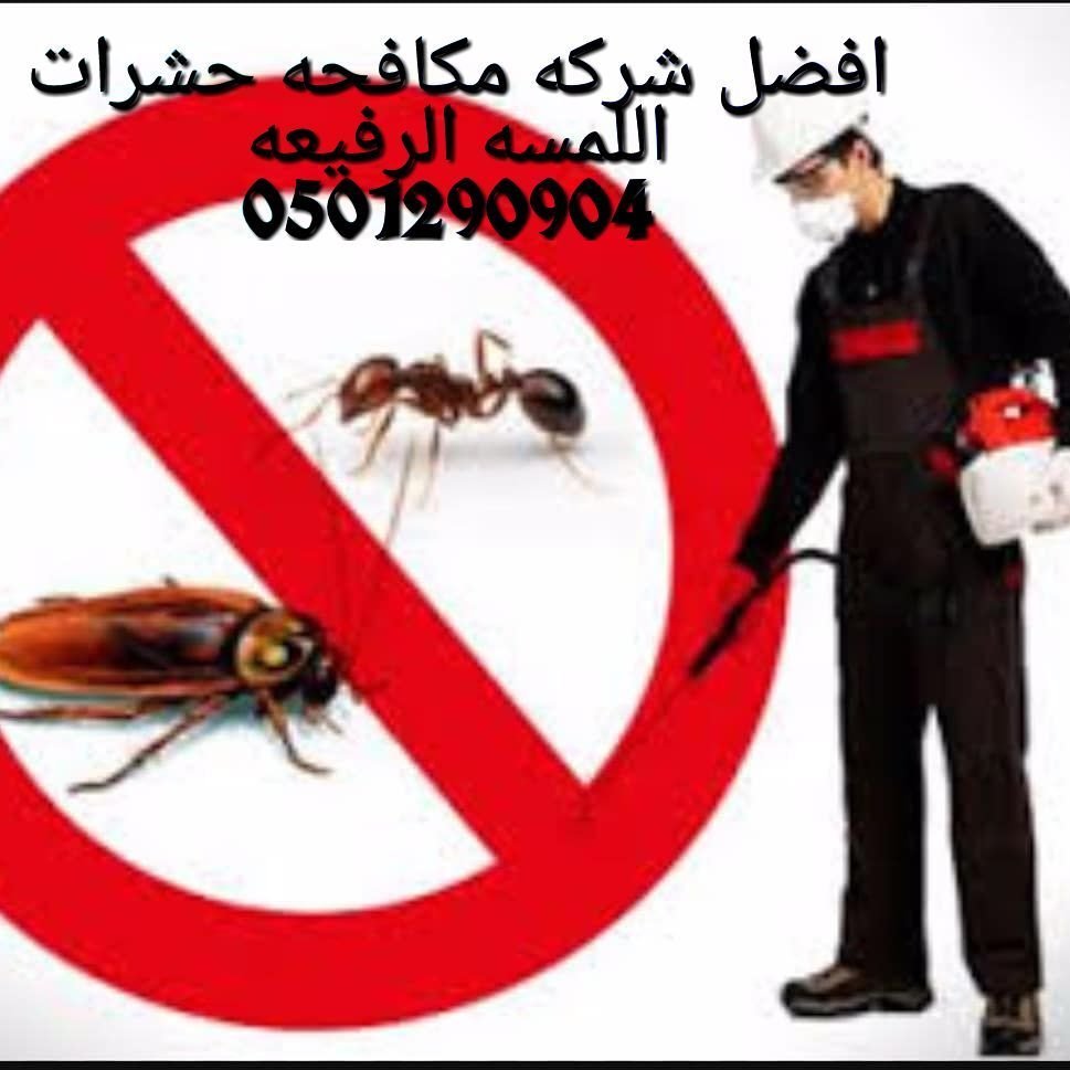 Cleaning and Pest Control Company - Cleaning Workers