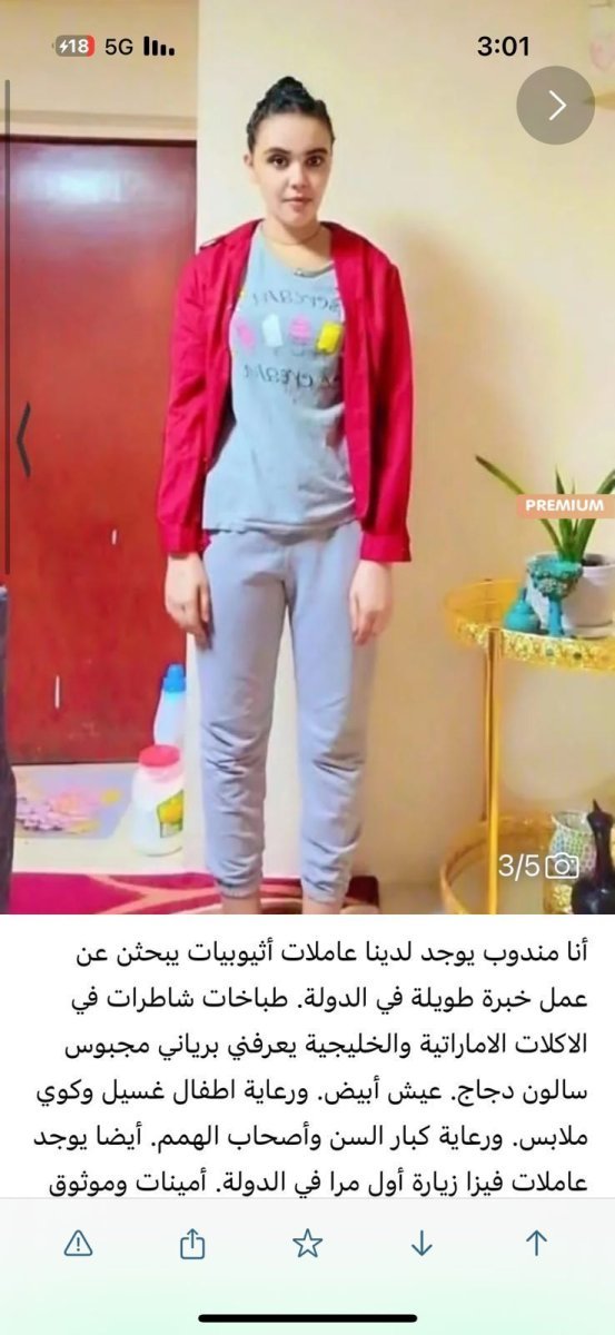 صورة 2