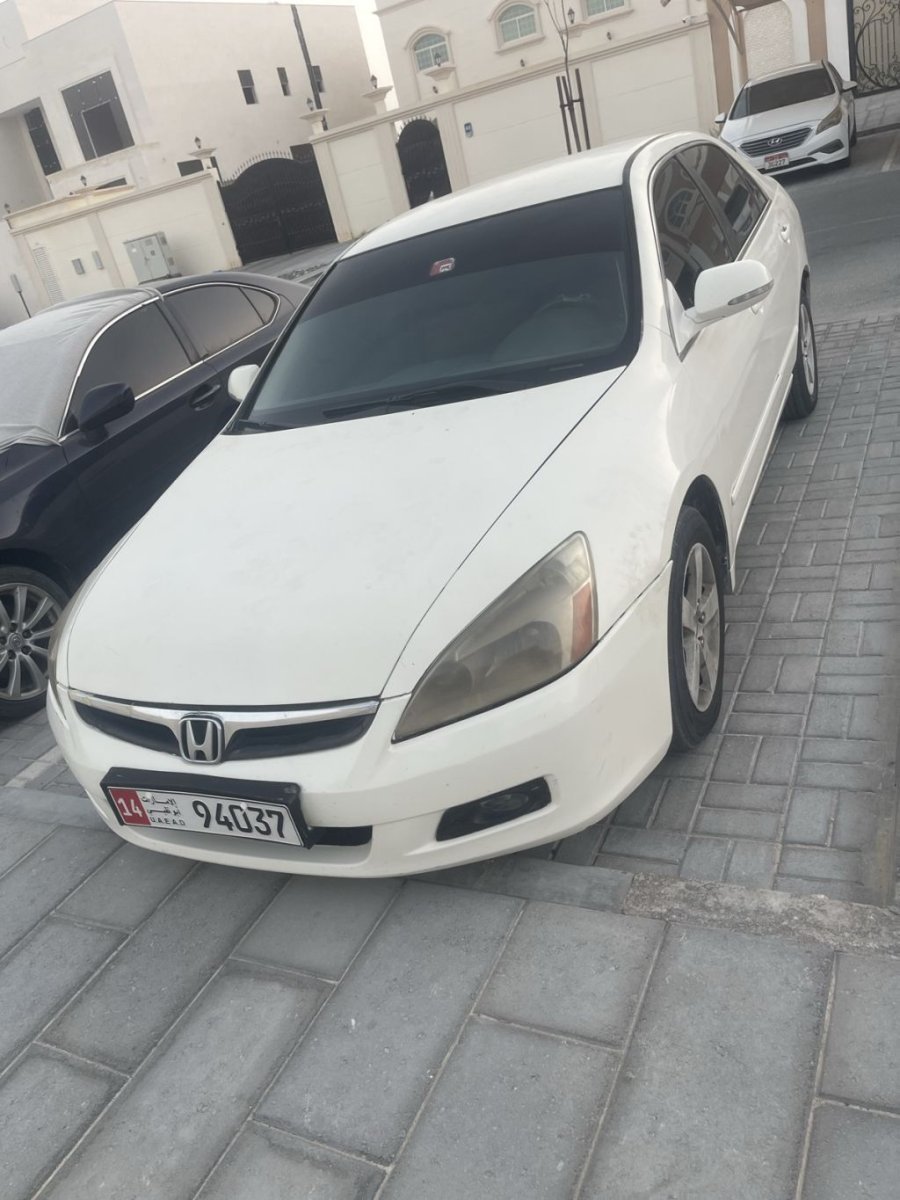 صورة 3