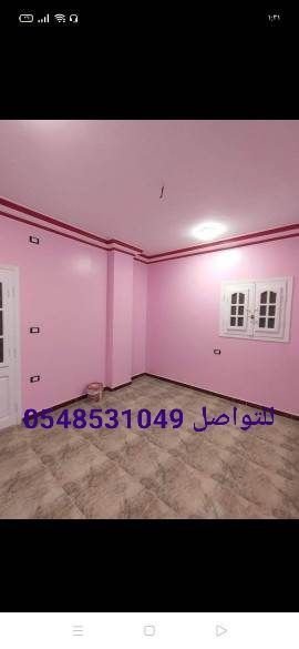 صورة 4