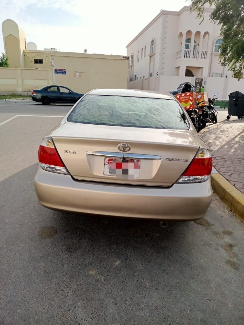 صورة 2
