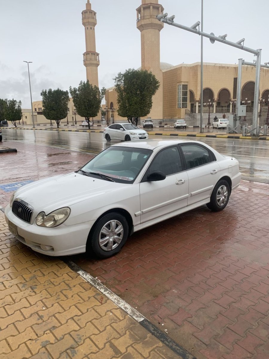 صورة 3