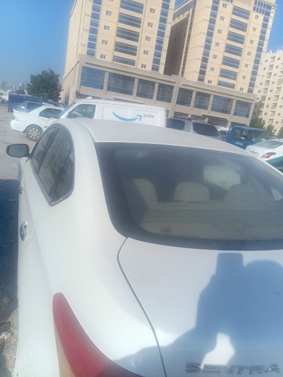 صورة 2