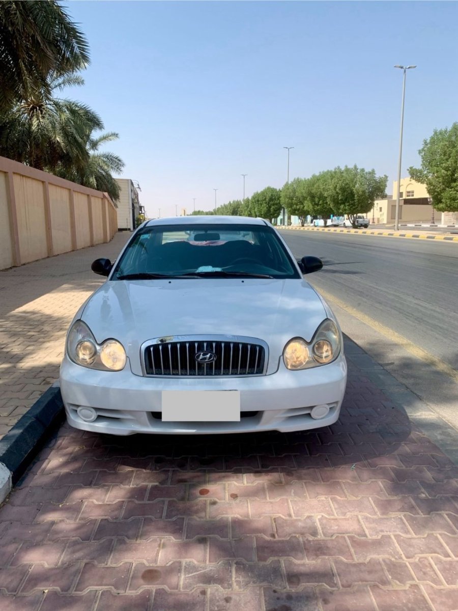 صورة 4