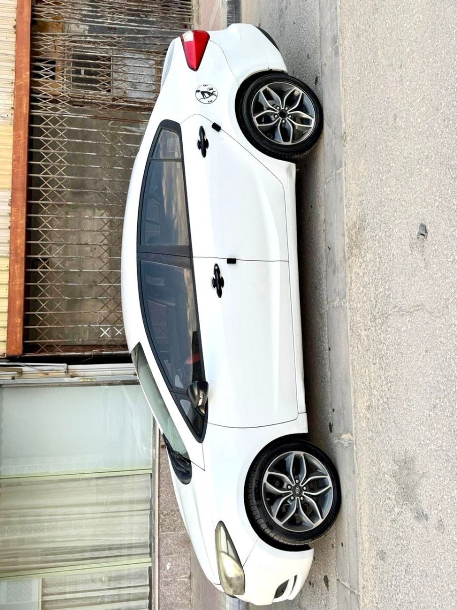صورة 3